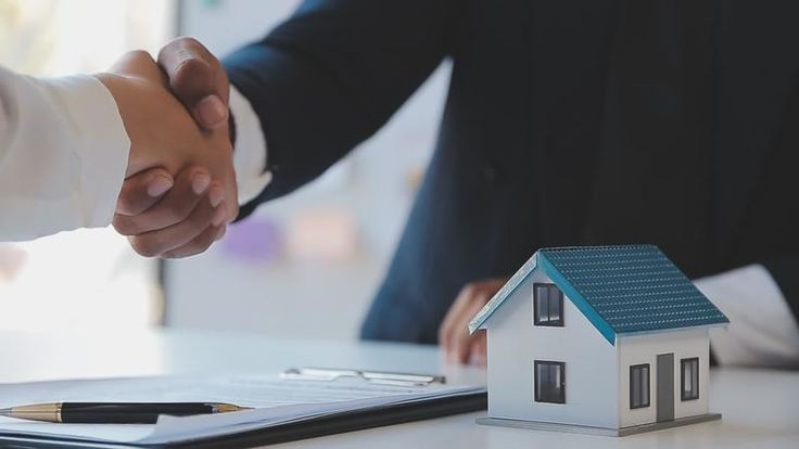 Tata carnatica Blog image