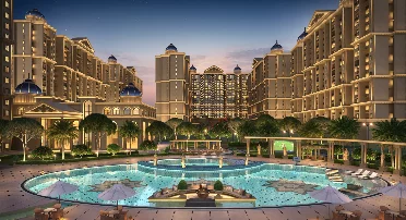 Tata carnatica Blog image