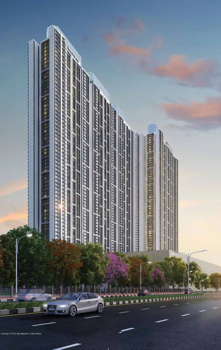 Tata carnatica Blog image