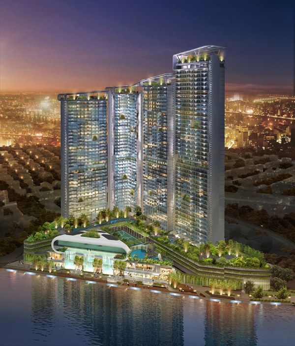 Tata carnatica Blog image