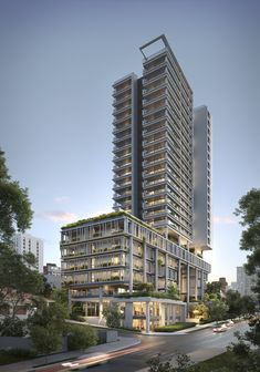 Tata carnatica Blog image