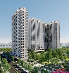 Tata carnatica Blog image