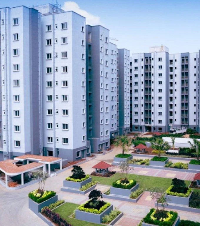 Tata carnatica Blog image