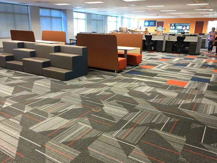 Tata carnatica Blog image