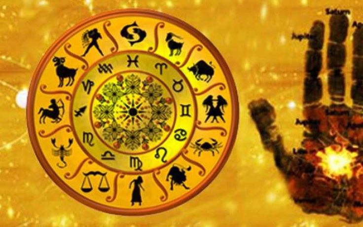 Tata carnatica Blog image